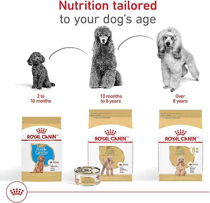 Royal Canin Breed Health Nutrition Poodle Adult Loaf in Sauce Dog Food, 3 oz (Pack of 24)