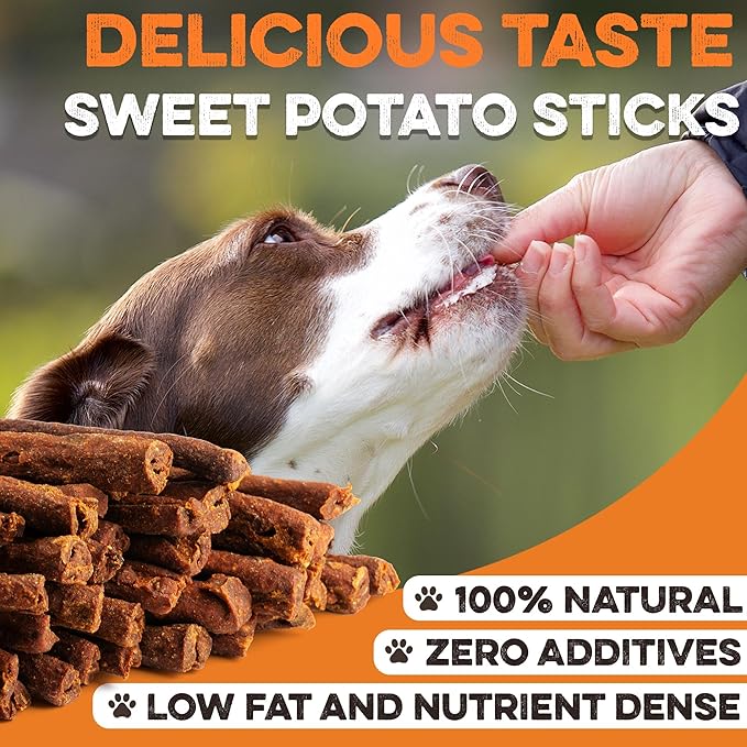 BRUTUS & BARNABY USA Sweet Potato Dog Treats - Crunchy Grain Free Cinnamon Apple Sticks, Promotes Positive Gut Health with Natural Anti-Diarrhea Properties (Cinnamon & Apple, 2 lb)
