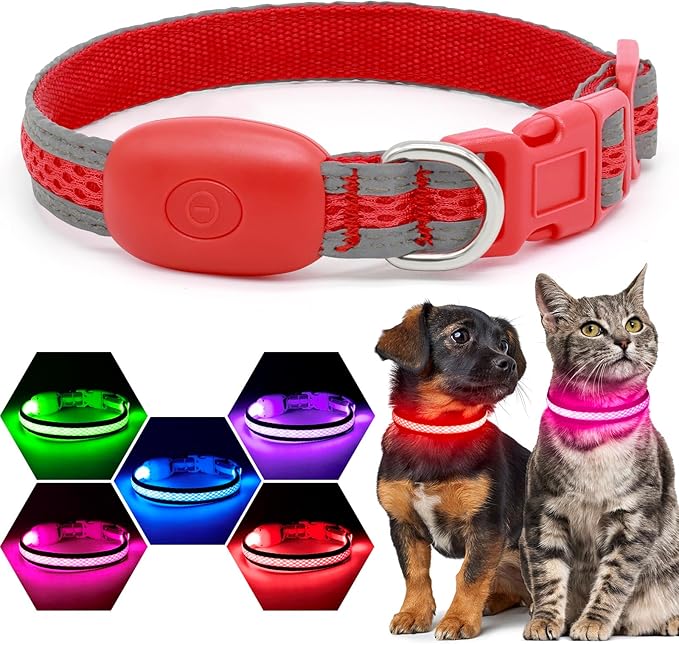 Flashseen LED Dog Collar, Light Up Dog Collar USB Rechargeable, Brightest Dog Lights for Night Walking, Adjustable Dog Collar Light for Dog Safety (Red, X-Small)