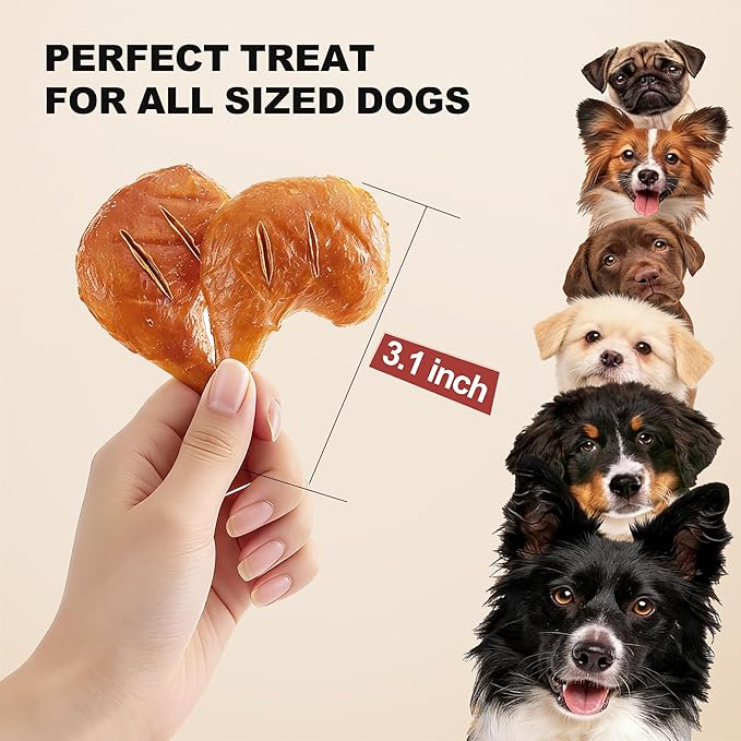 PETPHABET Rawhide Free Dog Chew Bones - 11 Count Grilled Chicken Leg Dog Chews for Small Medium Breeds, Healthy Puppy Treats for Training & Teething, Made with Real Chicken, Natural Smoky Flavor