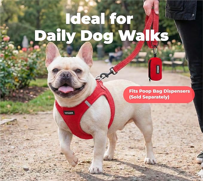 Best Pet Supplies Voyager Reflective Dog Leash or Collar with Neoprene Handle, for Small, Medium, and Large Breed Puppies, Cute and Heavy Duty for Walking, Running and Training - Red (Leash), L