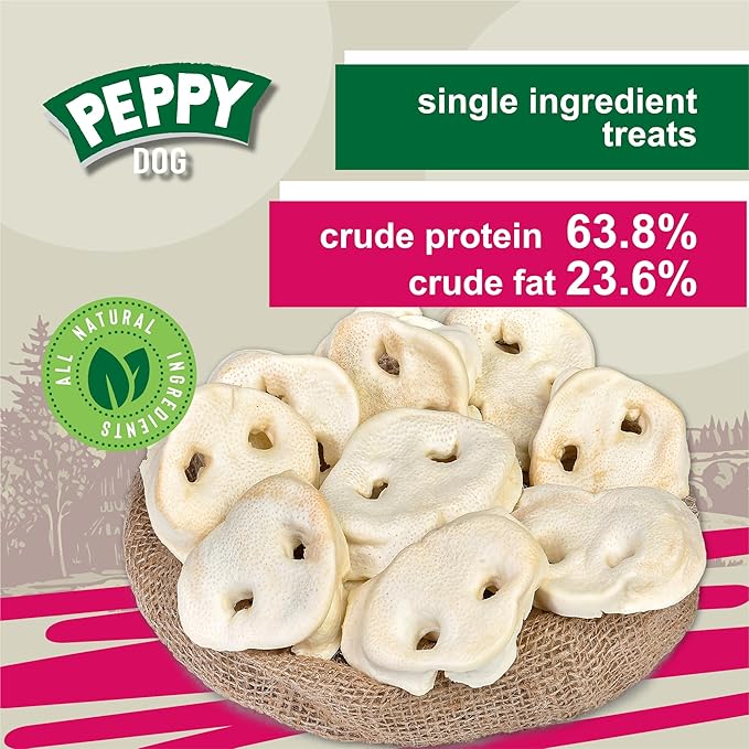 White Pig Snouts for Dogs 10 Pcs | Natural, Low-Fat Dog Chews | High Protein, Single Ingredient Treats | Supports Dental Health | Ideal for All Breeds