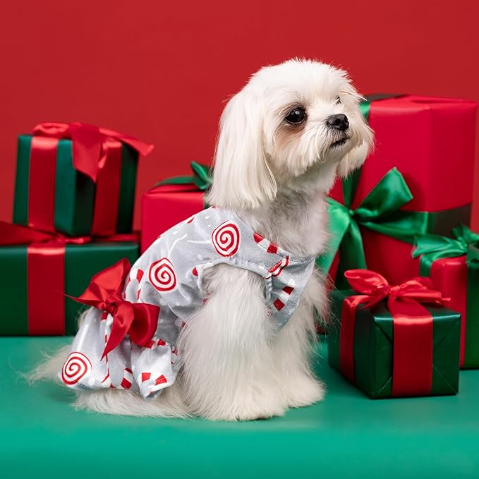 Fitwarm Christmas Candy Canes Dog Dress, Cute Dog Christmas Outfit, Doggy Clothes for Small Dogs Girl, Pet Apparel, Silver, Red, White, XS