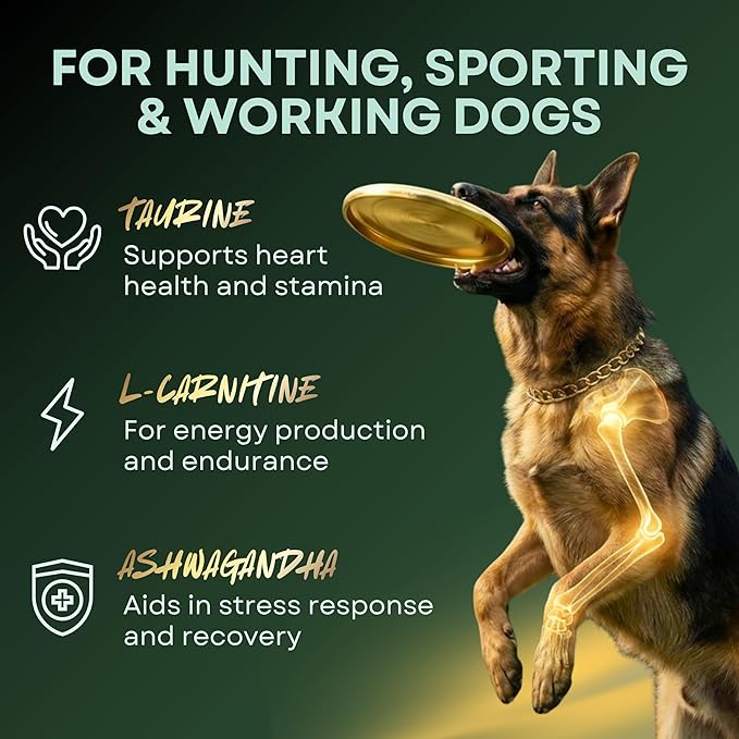 High-Performance & Longevity Soft Chews for Hunting, Sport and Working Dogs with Glucosamine, Chondroitin, Omega-3, Antioxidants, Ashwagandha, Probiotics, Beef Flavor, 90 Count