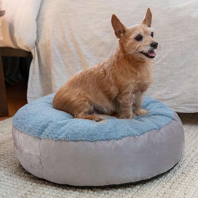 JAXX Robbi Dog Bed Bean Bag – Round Bed with Machine Washable Cover and No-Slip Base - Supportive Memory Foam for Senior Dogs & Joint Pain Relief - Ultimate Comfort & Luxury - Small, Blue/Grey