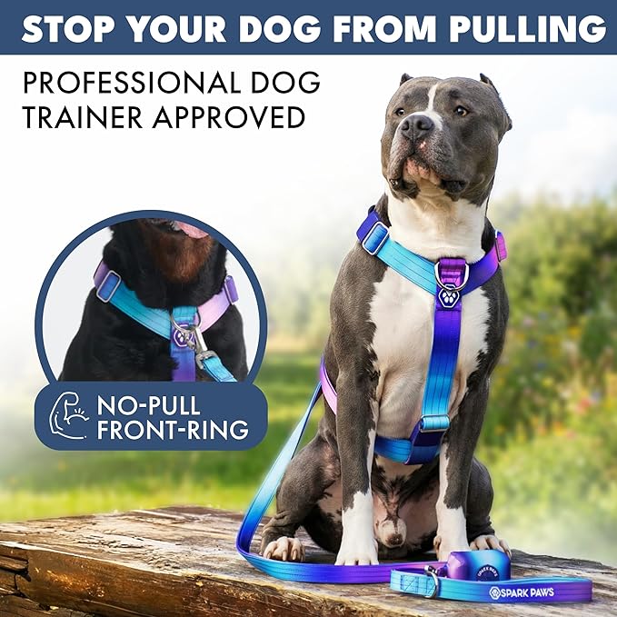 Spark Paws No Pull Dog Harness with Handle for Large Dogs, Heavy Duty Dog Harness for Big Strong Breeds, Adjustable, Y Shaped Padded Halter Design with Front Clip - 90s Retro - L