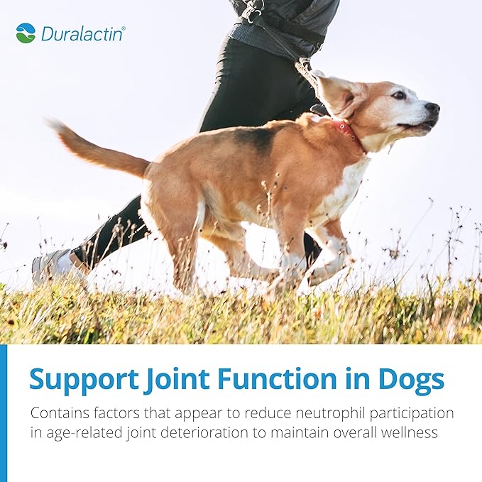 PRN Pharmacal Duralactin Canine Chewable Tablets - Joint Health Supplement for Dogs & Puppies - Pet Mobility Support - Vanilla Flavored Chews - 180 Count