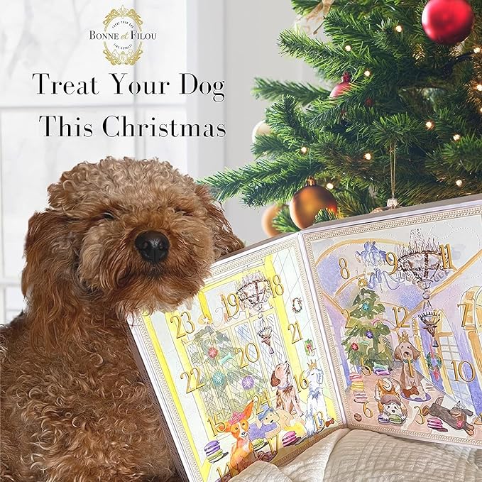 Bonne et Filou 2025 Dog Treats Advent Calendar - 24 Hand Designed Luxury Macarons, Truffles & Bone Cookies Box, Christmas Box for Dogs, Advent Treats for All Breeds (24 Count)