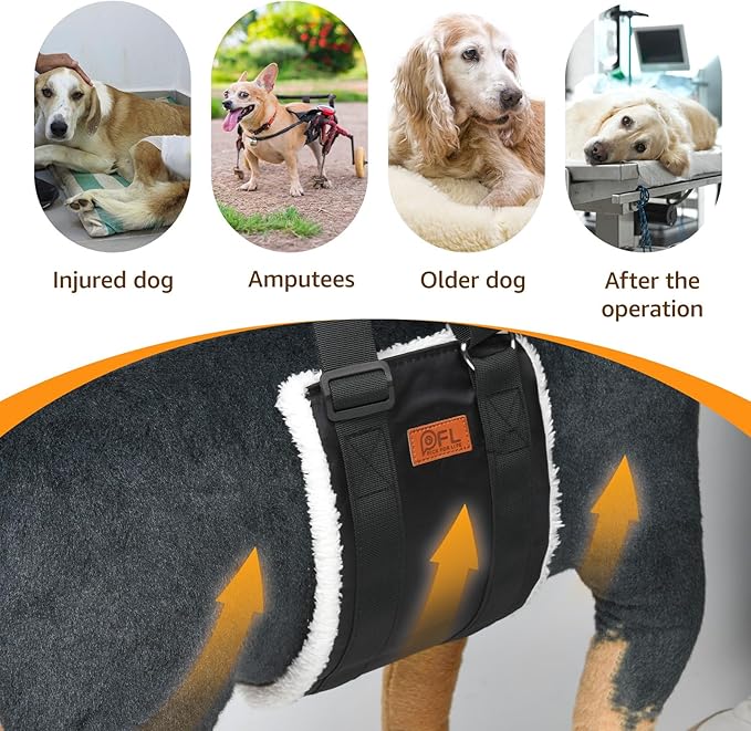 Adjustable Dog Lift Harness, Dog Sling for Large Dogs Lift Support and Rehab Harness for Weak Rear Legs, Soft Hind Leg Support Helps Senior, Injured, Disabled and After ACL Surgery Dogs(Black,Medium)