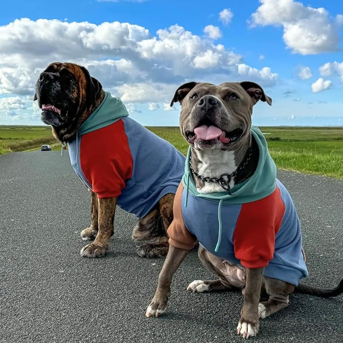 Spark Paws Dog Hoodie – Premium Dog Sweater for Small, Medium, and Large Dogs | Warm Outfits for French Bulldogs, Pitbull, Puppy, Winter Jacket Alternative - Alpine - 5XL