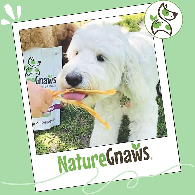 Nature Gnaws Beef Tendons for Dogs (1Lb) - Mixed Thickness - Long Lasting for Small and Medium Dogs - Natural Beef Jerky Dog Chew Bones - Rawhide Free