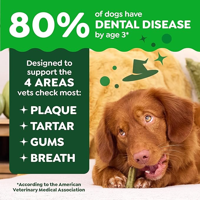 Greenies Veterinarian-Recommended, Limited-Edition Natural Dental Dog Treats Regular Size, Pumpkin Spice Flavor, 12 oz. Pack, 12 Count