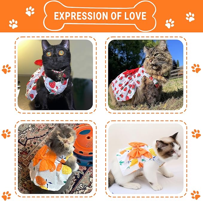 TAPBULL Dog Dresses, Fashionable Pet Dog Clothes, Cute Cat Birthday Dress Outfit (Orange/Red/Yellow/Blue/Pink 5-Pack), Small