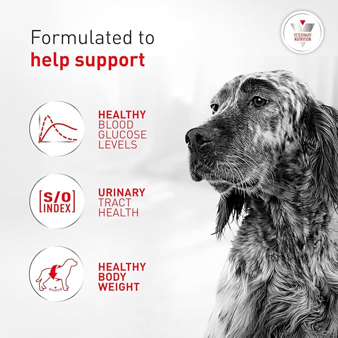 Royal Canin Veterinary Diet Canine Glycobalance Adult Loaf in Sauce Dog Food, 13.4 oz (Pack of 24)