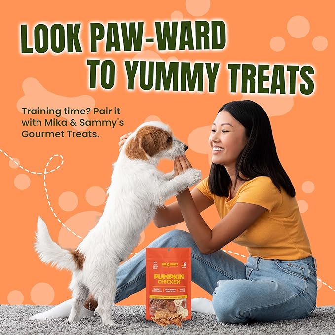 Gourmet Chicken Jerky Dog Treats Made in The USA. Cage-Free, No additives (Pumpkin Chicken 5 0z)