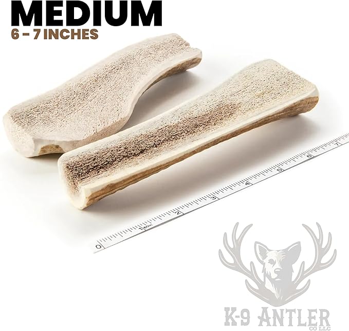 Deer Antlers for Dogs – Medium Split (6-7.5 Inch), Stimulating Chew, Naturally Shed in The Wild, Responsibly Gathered in The USA