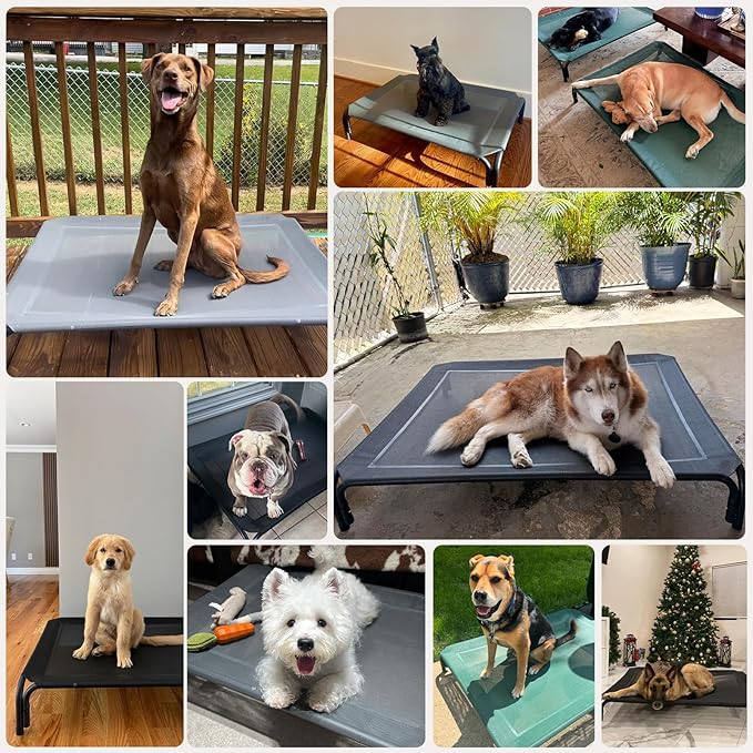 Elevated Dog Bed Raised Outdoor Dog Cot for Extra Large Dogs, Installation Requires No Tools, Frame with Washable Cooling Breathable Mesh Anti-Slip Feet, Indoor Pet Bed, Blue, 48.8 Inches