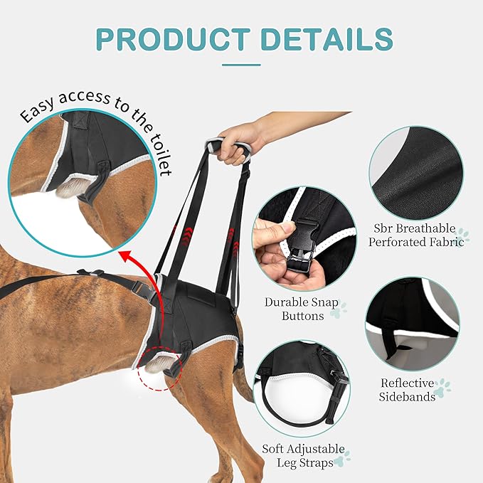 Dog Lift Harness - Post Surgery Support for Senior Dogs & Hip Dysplasia, Adjustable Sling for Small/Medium/Large Dogs, Potty-Friendly & No-Slip Design with Reflective Safety, M