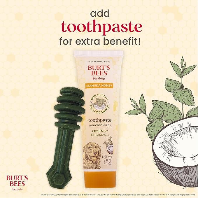 BURT'S BEES FOR PETS Dental Treats for Dogs with Manuka Honey & Ginger, Holistic, Plant-Based Oral Care, 98% Natural Origin Formulas, Peppermint Flavor, Dog Treats Small Dogs, Sz Sm 10ct, 7.4 oz