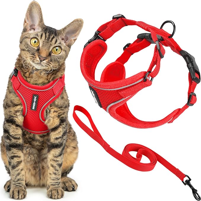 Voyager Escape-Proof Step-in Lock Cat Harness & 5ft Neoprene-Handle Leash Set All-Weather Mesh with Reflective Stitching for Small to Large Cats by Best Pet Supplies, Red (327), S