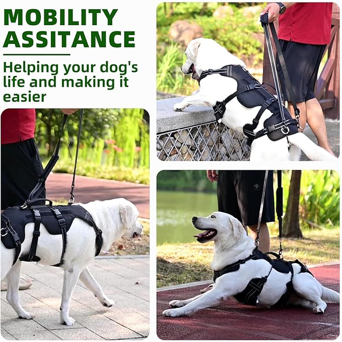 PUPTECK Dog Lift Harness for Medium Large Sized Dog, Rehabilitation Sling for Hind Leg Support, Multifunctional Mobility Assistance Harness for Old, Disabled, Joint Injuries, Paralysis Dog, Black XL