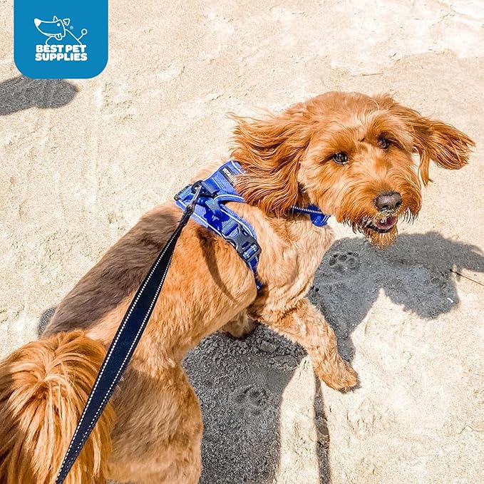Voyager Dog Harness Dual Leash Attachment No-Pull Control Adjustable Soft but Strong Pet Harness for Medium and Large Dogs with 3M Reflective Technology, Royal Blue Lattice Nylon, XS (Chest: 13-16")