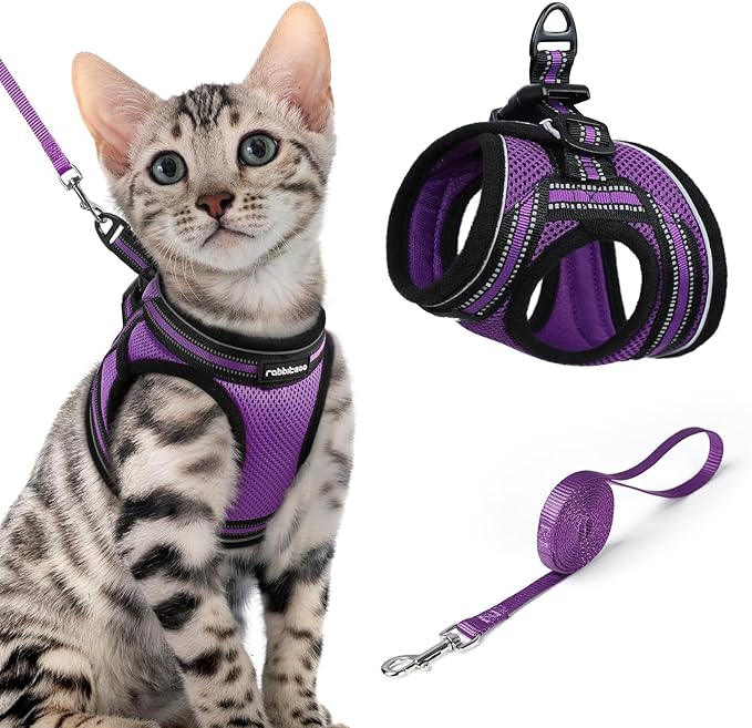 rabbitgoo Cat Harness and Leash Set for Walking Escape Proof, Adjustable Soft Kittens Vest with Reflective Strip for Cats, Comfortable Outdoor Vest, Purple, XL