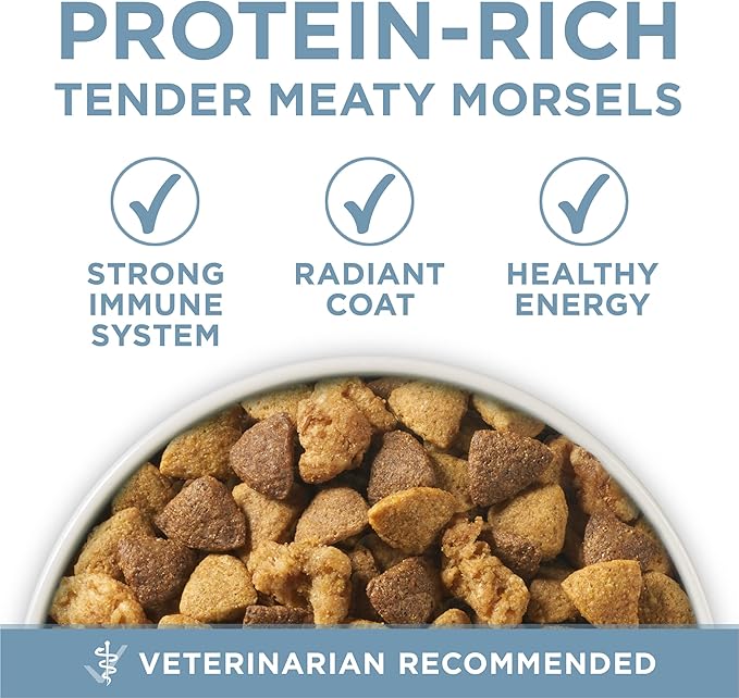 Purina ONE Plus Joint Health Formula Natural With Added Vitamins, Minerals and Nutrients Dry Dog Food - 31.1 lb. Bag