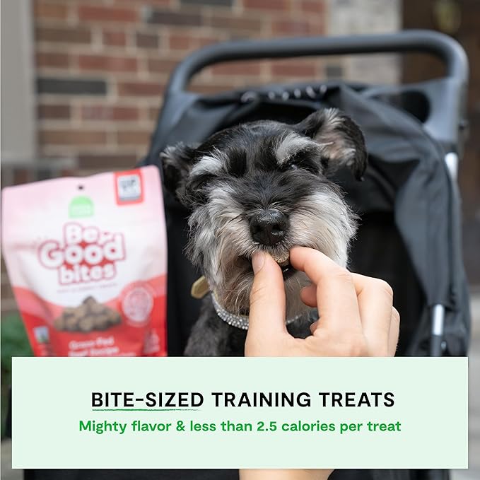 Open Farm, Be Good Bites, Soft Dog Training Treats, Small & Chewy, Made with Ethically & Sustainably Sourced Ingredients, Non-GMO Fruits & Grains, Grass-Fed Beef Recipe, 6oz Pouch