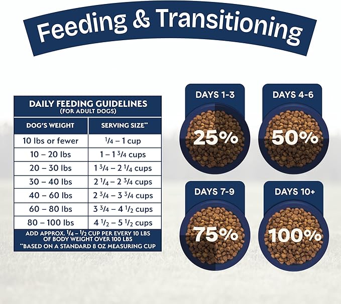 Natural Balance Health Protection Dry Dog Food – Whole Body Health, Easy on Digestion Dog Food Made with Lamb, Brown Rice & Pumpkin for Dogs - 24lbs.