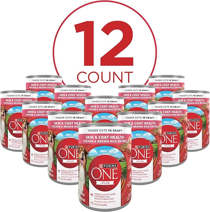 Purina ONE Tender Cuts Skin & Coat Chicken & Brown Rice Wet Dog Food - (Pack of 12) 13 oz. Cans