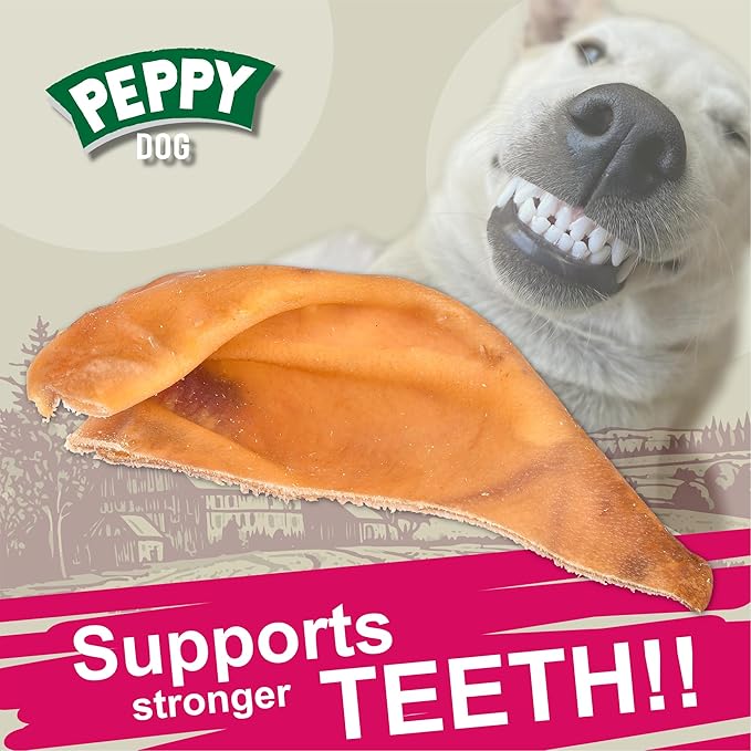 Healthy Half Pig Ears 25 pcs | Natural Chews | Rawhide Alternative | Single Ingredient Treat | Grain-Free | Long-Lasting | Dental Snack for Pets