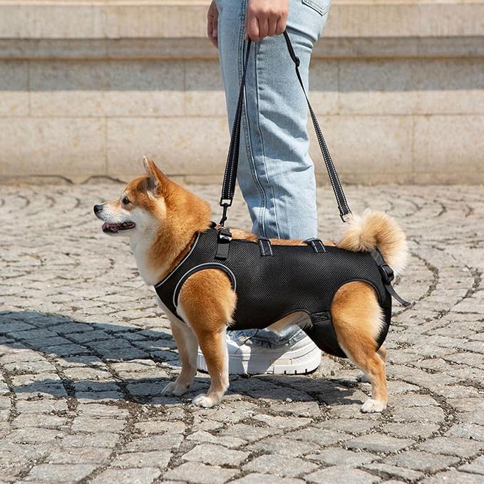 Adjustable Dog Harness for Elderly Pet with Padded Belt and Breathable Design Disabled Lift Slings Rehabilitation Harness
