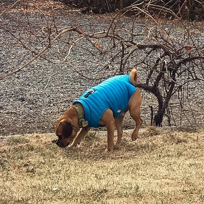 Gooby Puffer Dog Jacket - Ultra Thin Windbreaker & Water Resistant Coat - Blue, X-Large
