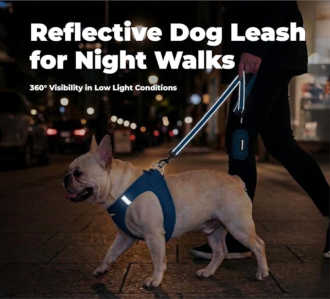 Best Pet Supplies Voyager Reflective Dog Leash or Collar with Neoprene Handle, for Small, Medium, and Large Breed Puppies, Cute and Heavy Duty for Walking, Running and Training - Royal Blue (Leash), L
