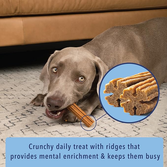 Angels’ Eyes Sea Sticks Multi-Benefit Daily Dog Treats with Brown Seaweed Gut Health & Metabolic Support Grain-Free, Gluten-Free, Plant-Based North Sea Small 24ct