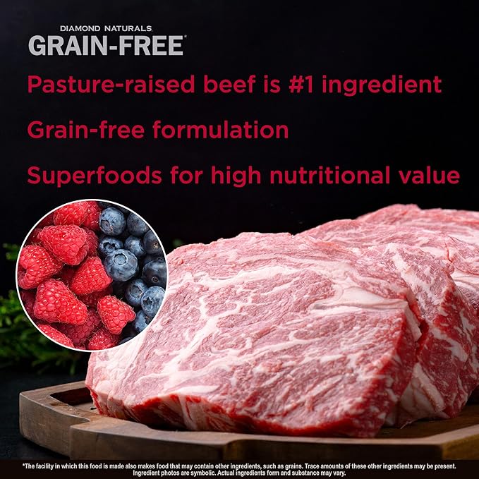 Diamond Naturals Grain-Free Recipe All Life Stages, Real Meat Protein Dog Food Premium Pastured-Raised Beef and Sweet Potato, with Taurine, and Omega Fatty Acids, for all Breed Sizes 14lb