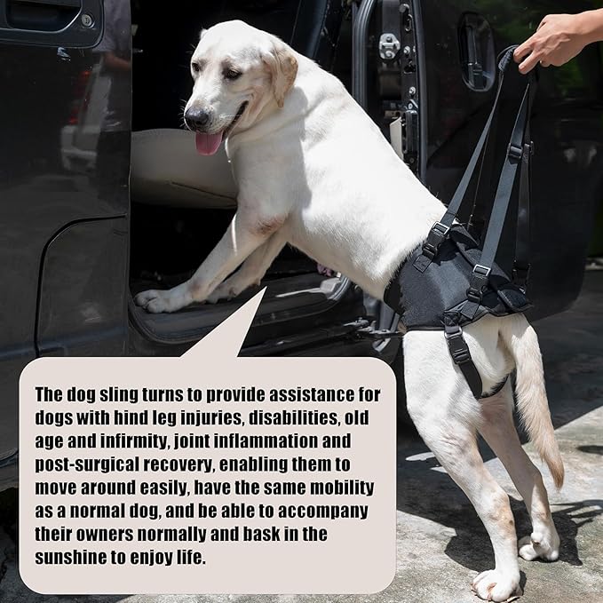 Dog Lift Harness, Dog Sling for Large Dogs Hind Leg Support, Adjustable Soft Padded Rehab Harness for Weak Rear Legs Elderly Injured Disabled Arthritic Dogs