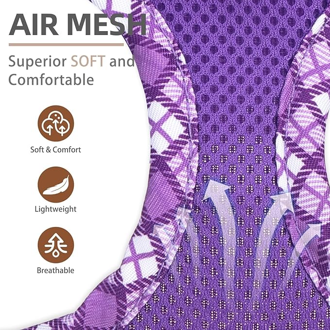 PUPTECK Dog Harness and Leash Set for Small Medium Dogs No Pull Step-in Soft Mesh Puppy Cat Vest Harnesses Reflective at Night, Purple L