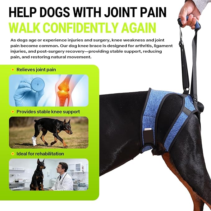 Dog Lift Harness – Adjustable Hind Leg Support Sling for Medium & Large Dogs, Soft Padded Mobility Aid for Senior, Injured & Arthritic Dogs