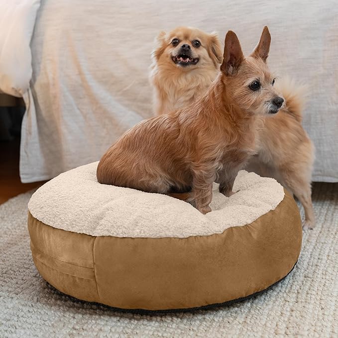 JAXX Robbi Dog Bed Bean Bag – Round Bed with Machine Washable Cover and No-Slip Base - Supportive Memory Foam for Senior Dogs & Joint Pain Relief - Ultimate Comfort & Luxury - Small, Cloud/Beige