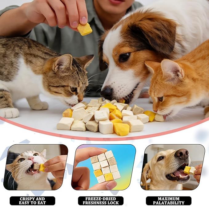 Freeze Dried Chicken Duck & Egg Recipe for Dogs & Cats Treats | 4 oz Canister Freeze Dried Dog Treats | Training Treats for Dogs, Puppies, Kittens & Senior Pets (4 oz)