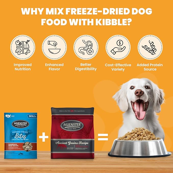 Muenster Ancient Grains Ocean Fish Dry Dog Food, 4lb - Gluten-Free, High Protein, Digestive Support