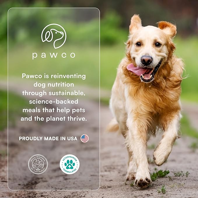 PawCo Dog Treats, Gut Health – Supports Digestion & Sensitive Stomachs – Crunchy Dog Cookies with Postbiotics, Peanut Butter & Apple – Functional & Healthy Rewards for Dogs – Magic Cookie – 8.8oz