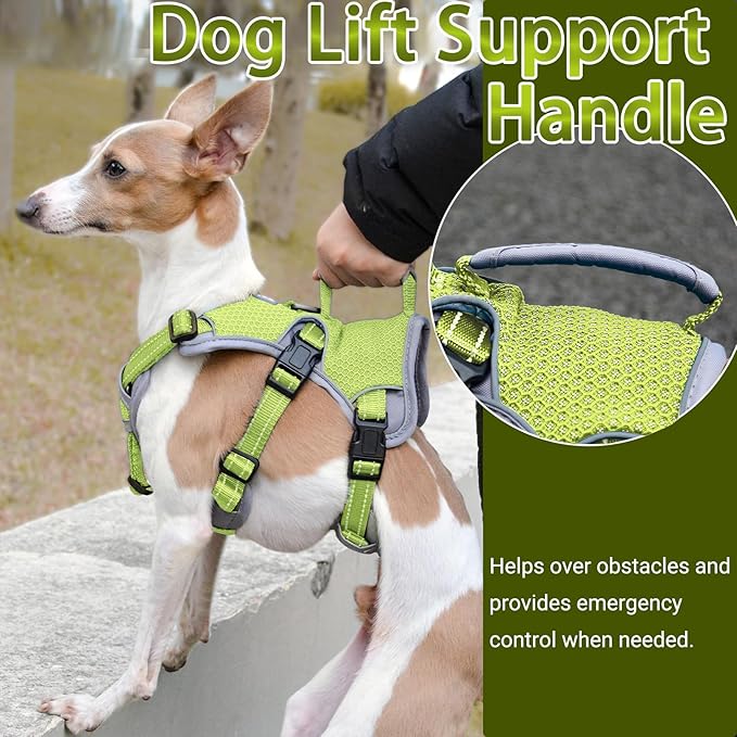 BELPRO Multi-Use Support Dog Harness, Escape Proof No Pull Reflective Adjustable Vest with Durable Handle, Dog Walking Harness for Big/Active Dogs (Green, XL)