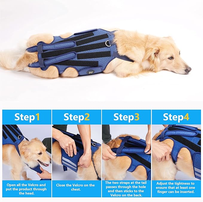Coodeo Dog Back Brace for Dogs Arthritis, Pet Back Bracer for IVDD, Back Protector Helps Pain Relief, Surgical Recovery and Rehabilitation, Dogs Back Disease Prevention. (Blue,XX-Large)