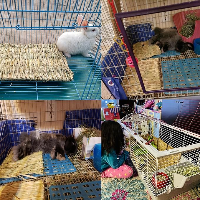 PINVNBY Straw Mats for Rabbits,11.0"x8.3" Natural Bunny Grass Mat,Handwoven Rabbit Hay Mat Small Animal Bedding Chewable & Cooling Mat - Eco-Friendly Cage Liner Nesting Toy(4 PCS)
