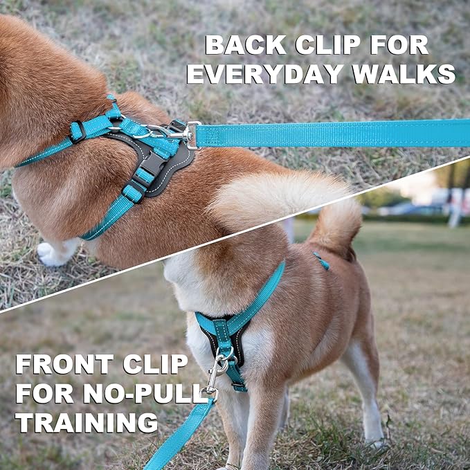 Plutus Pet Adjustable No Pull Dog Harness with Leather Accents, Heavy Duty Reflective Nylon Vest for Training, Hiking, Easy Walk Harness for Small, Medium, Large Dogs (Light Blue, L)