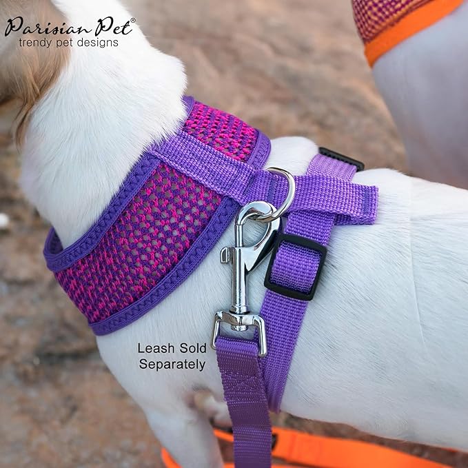 Parisian Pet Girl Dog Harness - Breathable Mesh Purple Pink No Pull Puppy Harness with Leash Ring - Adjustable Harnesses for Dogs - Soft Step-in Pet Vest - Lightweight Dog Vests for Large Dogs
