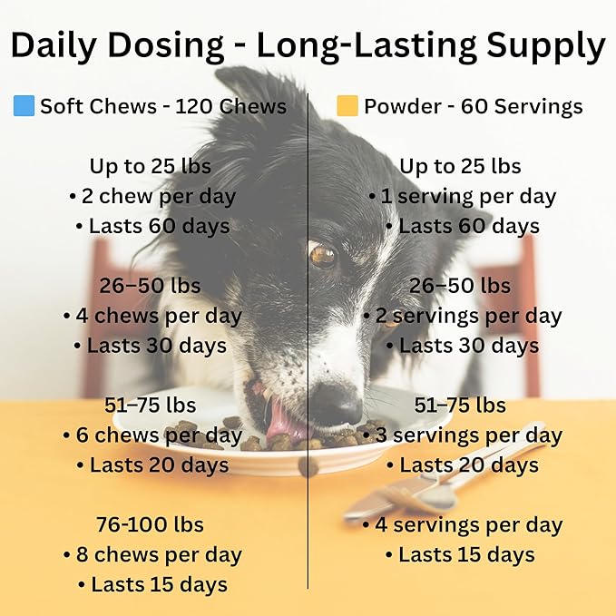 Joint Health for Dogs - Most Effective Natural Hip & Joint Supplement Available - Formulated with Veterinarians, Glucosamine, Chondrointin, MSM, Turmeric (Powder)